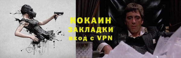 гидра Абаза