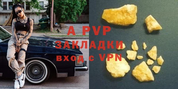 гидра Абаза