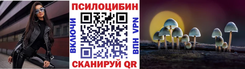закладка  Тимашёвск  hydra как войти  Псилоцибиновые грибы GOLDEN TEACHER 
